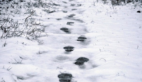 Donezk im Winter
