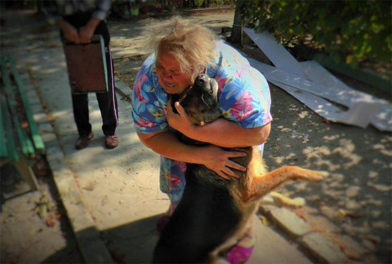 Tiere im Donbass