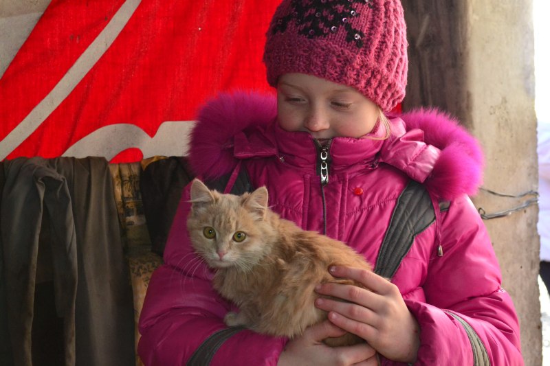 Tiere im Donbass