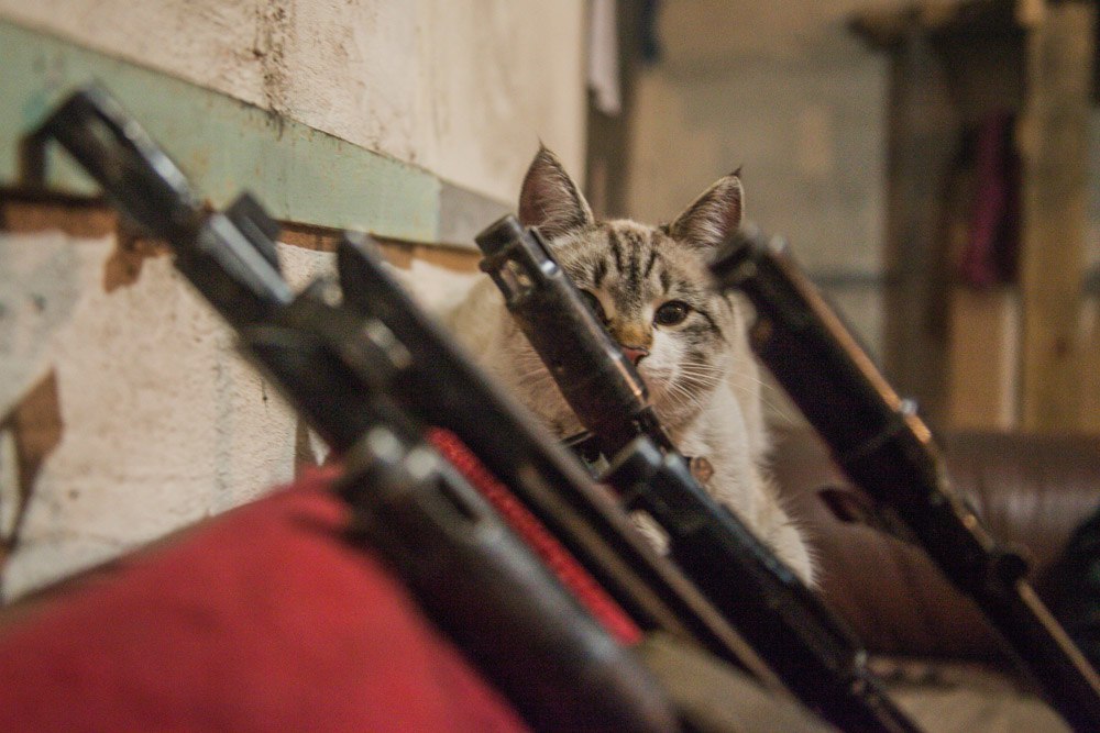 Tiere im Donbass