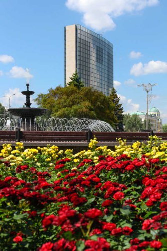 Die Büsche der Rosen im Stadtzentrum Donetsk