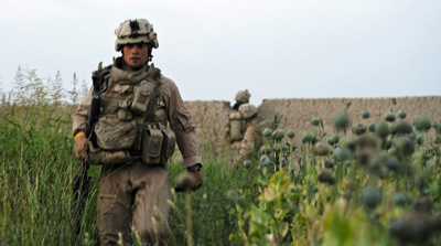 geschützer Drogenanbau in Afghanistan