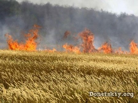 Die Ernte brennt